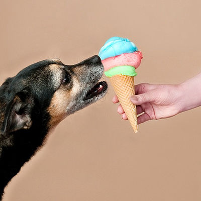 Icecream Dog