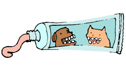 Use only toothpaste intended for pets