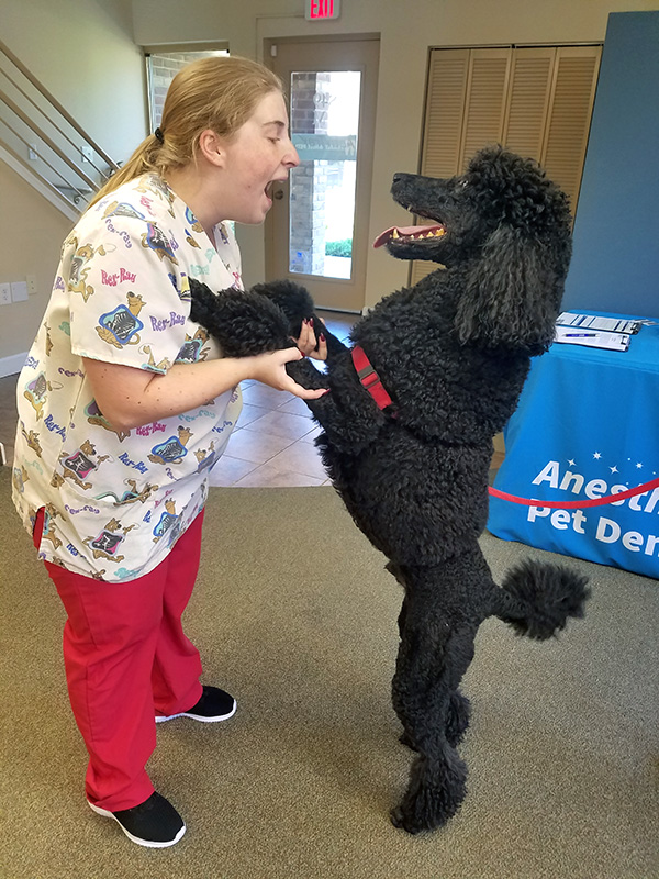 Tara greets Duke